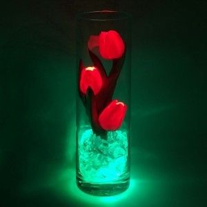 Ночник Светодиодные цветы LED FLORARIUM, красные тюльпаны с зелёной подсветкой вазы — Купить в интернет-магазине LED Forms