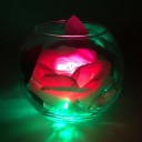 Ночник Светодиодные цветы LED SECRET — розовая роза с зелёной подсветкой вазы