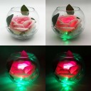 Ночник Светодиодные цветы LED SECRET, розовая роза с зелёной подсветкой вазы — Купить в интернет-магазине LED Forms