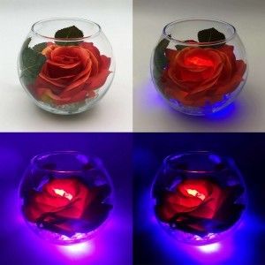 Ночник Светодиодные цветы LED SECRET, красная роза с синей подсветкой вазы