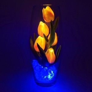Светильник-ночник Светодиодные цветы LED GRACE, оранжевые тюльпаны с синей подсветкой вазы — Купить в интернет-магазине LED Form