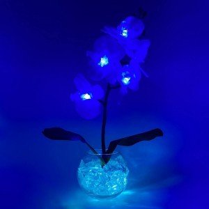 Светильник-ночник Светодиодные цветы LED PROVOCATION, синие орхидеи с голубой подсветкой вазы — Купить в интернет-магазине LED F