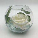 Ночник Светодиодные цветы LED SECRET, белая роза с зелёной подсветкой вазы — Купить в интернет-магазине LED Forms
