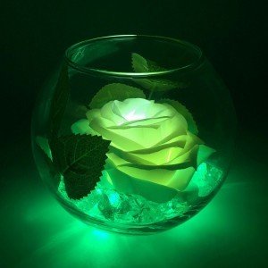 Ночник Светодиодные цветы LED SECRET — белая роза с зелёной подсветкой вазы