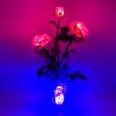 Светильник-ночник Светодиодные цветы LED NOVA, розовые розы с синей подсветкой вазы — Купить в интернет-магазине LED Forms