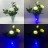 Светильник-ночник Светодиодные цветы LED NOVA — белые розы с синей подсветкой вазы
