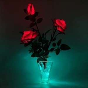 Светильник-ночник Светодиодные цветы LED NOVA, жёлто-красные розы с зелёной подсветкой вазы — Купить в интернет-магазине LED For
