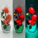 Светильник-ночник Светодиодные цветы LED HARMONY, розовые розы с зелёной подсветкой вазы — Купить в интернет-магазине LED Forms