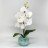 Светильник-ночник Светодиодные цветы LED PROVOCATION, белые орхидеи с зелёной подсветкой вазы — Купить в интернет-магазине LED F