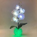 Светильник-ночник Светодиодные цветы LED PROVOCATION — белые орхидеи с зелёной подсветкой вазы