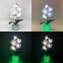Светильник-ночник Светодиодные цветы LED PROVOCATION — белые орхидеи с зелёной подсветкой вазы