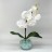 Светильник-ночник Светодиодные цветы LED PROVOCATION, белые орхидеи с синей подсветкой вазы — Купить в интернет-магазине LED For