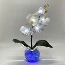 Светильник-ночник Светодиодные цветы LED PROVOCATION, белые орхидеи с синей подсветкой вазы — Купить в интернет-магазине LED For