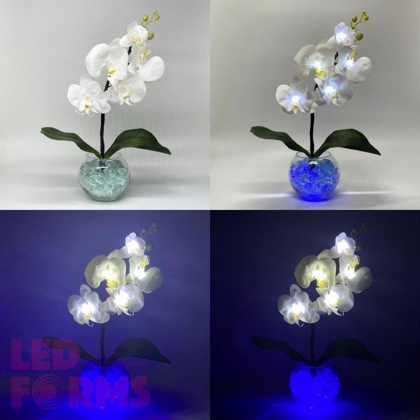 Светильник-ночник Светодиодные цветы LED PROVOCATION — белые орхидеи с синей подсветкой вазы