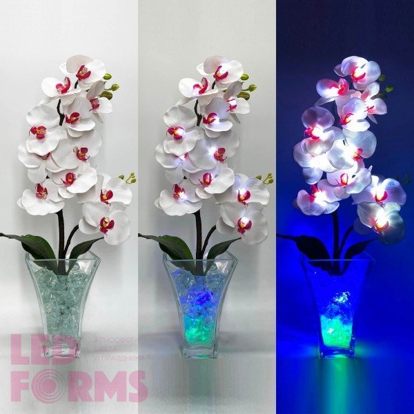 Светильник Светодиодные цветы LED INSPIRATION, белые орхидеи с сине-зелёной подсветкой вазы — Купить в интернет-магазине LED For