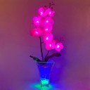 Светильник Светодиодные цветы LED INSPIRATION — розовые орхидеи с сине-зелёной подсветкой вазы