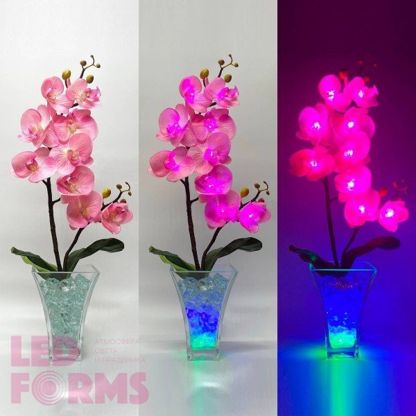 Светильник Светодиодные цветы LED INSPIRATION, розовые орхидеи с сине-зелёной подсветкой вазы — Купить в интернет-магазине LED F
