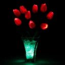 Светильник Светодиодные цветы LED JOY — красные тюльпаны с зелёной подсветкой вазы