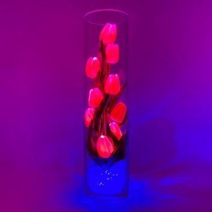 Светильник Светодиодные цветы LED SPIRIT, розовые тюльпаны с синей подсветкой вазы — Купить в интернет-магазине LED Forms