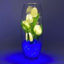 Светильник-ночник Светодиодные цветы LED GRACE — белые тюльпаны с синей подсветкой вазы
