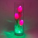 Ночник Светодиодные цветы LED FLORARIUM — розовые тюльпаны с зелёной подсветкой вазы