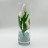 Ночник Светодиодные цветы LED FLORARIUM — белые тюльпаны с зелёной подсветкой вазы
