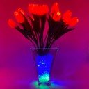 Светильник Светодиодные цветы LED SPRING, оранжевые тюльпаны с сине-зелёной подсветкой вазы — Купить в интернет-магазине LED For