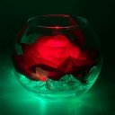 Ночник Светодиодные цветы LED SECRET — красная роза с зелёной подсветкой вазы