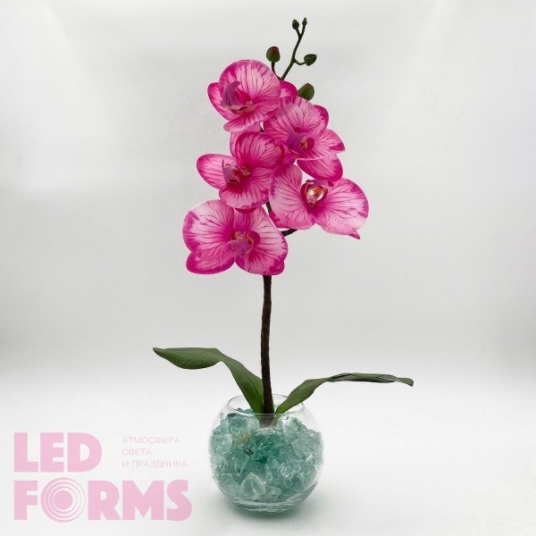 Светильник-ночник Светодиодные цветы LED PROVOCATION — малиновые орхидеи с синей подсветкой вазы