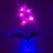 Светильник-ночник Светодиодные цветы LED PROVOCATION, розовые орхидеи с синей подсветкой вазы — Купить в интернет-магазине LED F