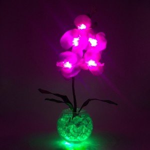 Светильник-ночник Светодиодные цветы LED PROVOCATION — розовые орхидеи с зелёной подсветкой вазы