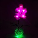 Светильник-ночник Светодиодные цветы LED PROVOCATION — розовые орхидеи с зелёной подсветкой вазы