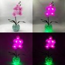 Светильник-ночник Светодиодные цветы LED PROVOCATION, розовые орхидеи с зелёной подсветкой вазы