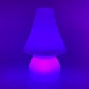 Настольная лампа Гном LED DWARF с разноцветной RGB подсветкой и пультом ДУ IP65 220V — Купить в интернет-магазине LED Forms
