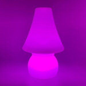 Настольная лампа Гном LED DWARF с разноцветной RGB подсветкой и пультом ДУ IP65 220V — Купить в интернет-магазине LED Forms