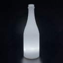 Садовый уличный светильник Бутылка LED BOTTLE c одноцветной подсветкой IP65 220V