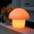 Беспроводной светильник Медуза LED JELLYFISH-2 многоцветный RGB с пультом ДУ и аккумулятором