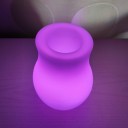 Светящаяся ваза для цветов LED VASE c разноцветной RGB подсветкой и пультом ДУ IP65 220V