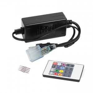 RGB контроллер с пультом ДУ для многоцветного гибкого неона 6x16 мм 600 Вт 220V