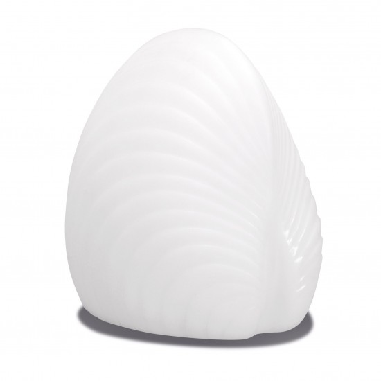 Настольная лампа Ракушка LED SHELL-2 с белой светодиодной подсветкой IP44 220V — Купить в интернет-магазине LED Forms