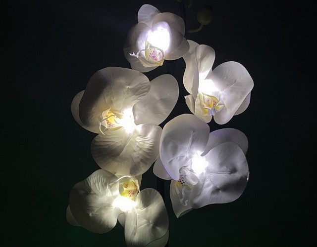 Купить светильник-цветы ночник в виде светящихся белых орхидей ✨ LED Forms