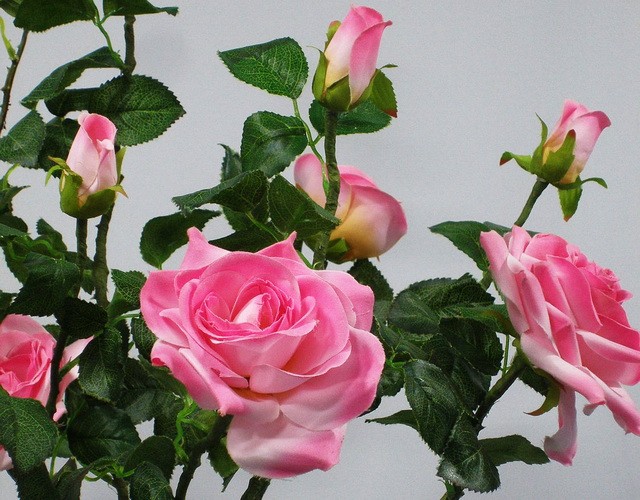 Купить с доставкой цветочный светильник-ночник светодиодные розы в вазе ✨ LED Forms