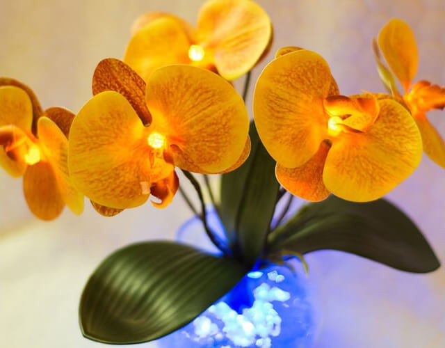 Купить дизайнерский светильник в виде светящихся орхидей в вазе с LED подсветкой ✨ LED Forms