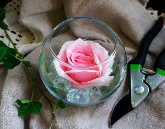 Купить дизайнерский светильник Светодиодная роза в стеклянном шаре ✨ LED Forms