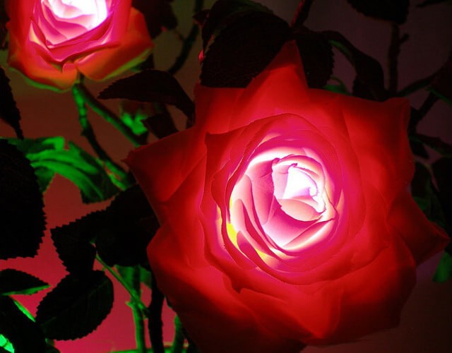 Купить светильник в форме бутонов букета светодиодных роз в вазе ✨ LED Forms