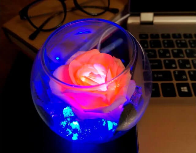 Купить светодиодный светильник-цветы Роза в стеклянной вазе в интернет-магазине ✨ LED Forms
