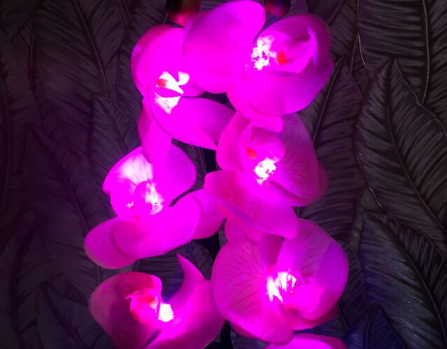 Купить светильник-букет светящихся орхидей в интернет-магазине ✨ LED Forms
