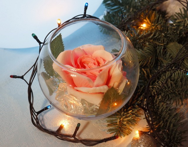Купить светильник-ночник в виде розы в стеклянном шаре с подсветкой ✨ LED Forms