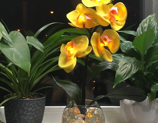 Купить декоративные светильники-цветы букет жёлтых орхидей в стеклянном шаре ✨ LED Forms