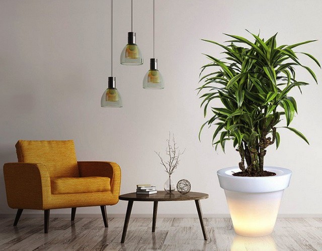 Купить светящийся дизайнерский цветочный вазон-кашпо для интерьера и улицы в интернет-магазине ✨ LED Forms
